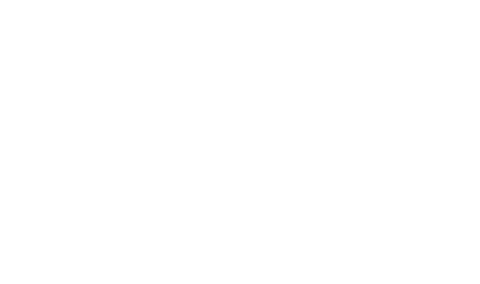 Ferncast - Your 24/7 audio logistics partner