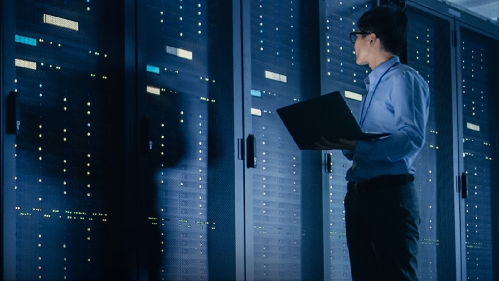 IT, network e server